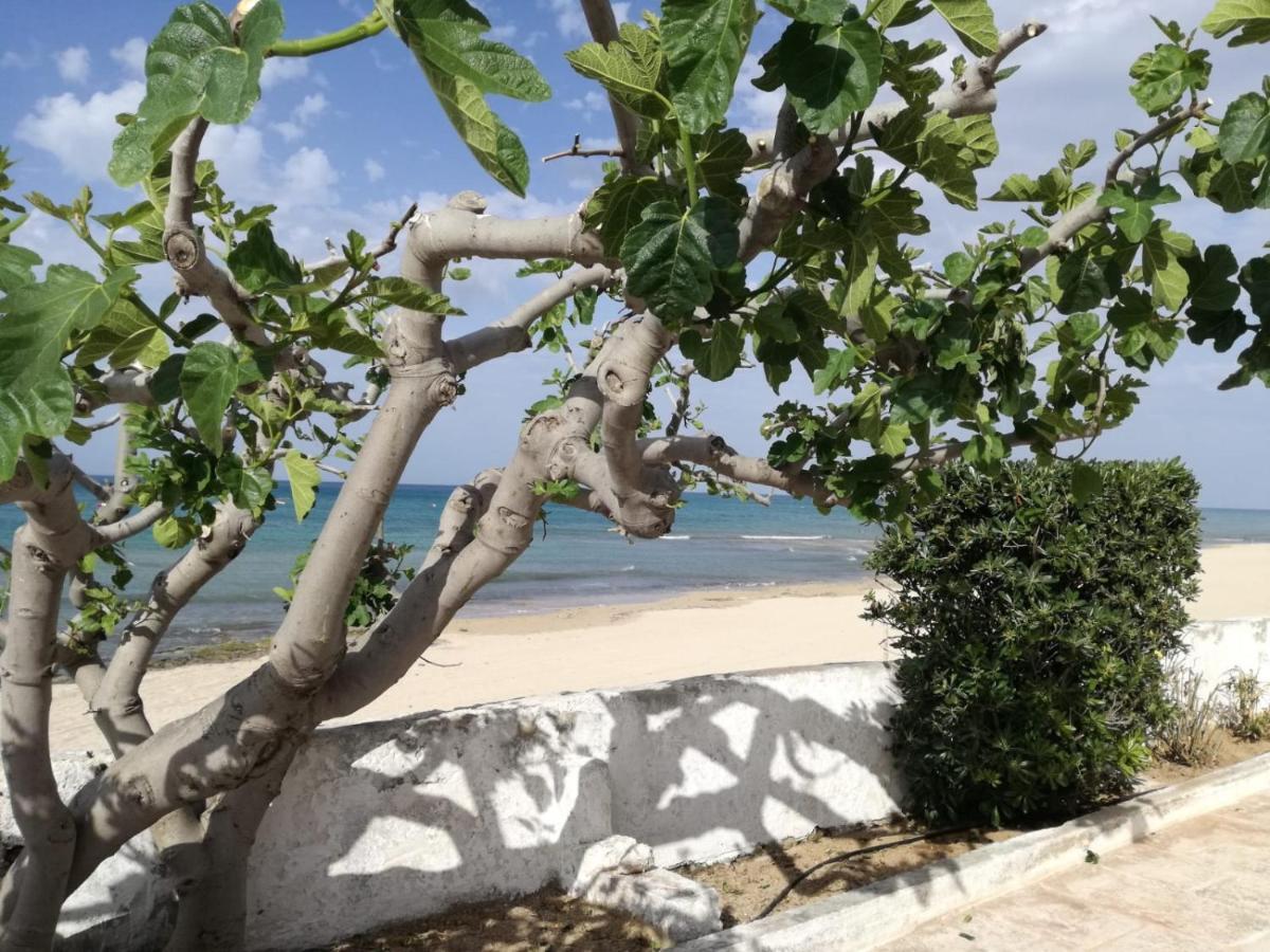 Dimora Grazia In Riva Al Mare Apartment Monopoli Bagian luar foto